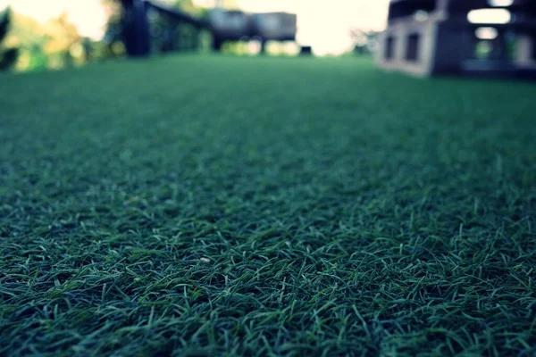 Top-Rated Artificial Grass Installers in Your Area